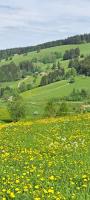 Ferienwohnung im Schwarzwald mit Blick ins Grüne und Balkon - B&B Schönwald