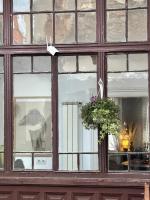 Lerosa Aaluna Old Town Luxury Boutique Apartment, 2 Bedrooms, Sleeps 6 - Chambres d'hôtes Sibiu