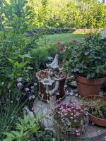 Apartment Trauninsel - Bed and Breakfast Bad Aussee