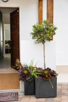 Casa Era Canaria - Bed and Breakfast Arona