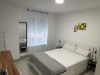 Estudio (01) , baño adaptado personas movilidad reducida (planta baja)