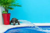 5 Bedroom Modern Villa with Private Pool - Great Location - Ferienwohnung Cancún