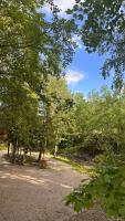 Cabana Pârâul Lupilor - Ferienwohnung Răchitiș