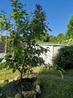 Casa tranquila con jardín, - B&B Suesa