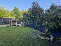 Casa tranquila con jardín, - B&B Suesa