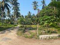 Sanghiang Homestay - B&B Batukaras