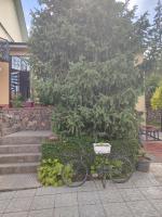 Гостевой дом Ордо - Bed and Breakfast Cholpon-Ata