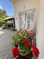 Alia house with garden in Piešťany - B&B Piestany