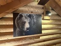 L'OURS NOIR Chalet en rondins - B&B La Bresse