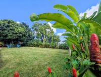 KAZ 3 CHAMBRES & JARDIN TROPICAL : La Kaz de Léa & Dérick - Chambres d'hôtes Saint-Gilles les Hauts
