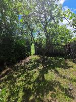 Bright Cozy 2-Bedroom Main Floor Suite - Chambres d'hôtes Brampton