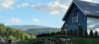 Pine Peak Holiday House Sosnówka - B&B Sosnówka