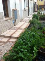 B&B Ciliegio Felice - B&B