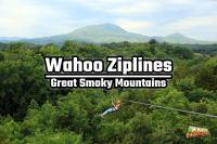 Pet-Friendly Cabin with Hot Tub & Game Room - B&B Gatlinburg
