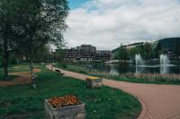 BergStudio by Bentcrest - XXL-Bett & Bocksbergblick - Ferienwohnung Goslar