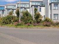 Cwtch Treth - B&B Newquay