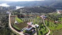 Casa da Lameira - B&B Serra