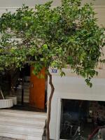 Acropolis Apartment K - B&B Atene