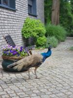 Hey Spreewald Ferienapartments - B&B Lubin