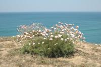 YOLO - Ocean and Nature Shelter - B&B Aljezur
