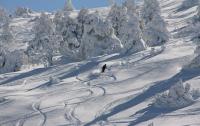 Duplex Ball Benasque - B&B Benasque