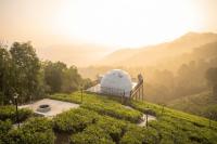 Willostays Luxury Glamping vagamon - B&B Vagamon