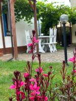 Morski zakątek - B&B Mrzeżyno