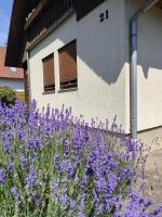 Ferienhaus Villa Waldblick - Chambres d'hôtes Kolkwitz