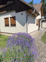 Ferienhaus Villa Waldblick - Chambres d'hôtes Kolkwitz