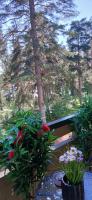 Saimaa Parkview Luxury Suite - B&B Savonlinna