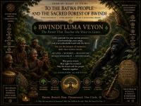 Rushura Canopy Eco Lodge - B&B Buhoma