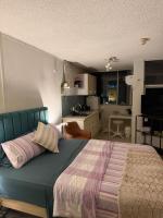 Chic Inner City Studio in the Heart of Surry Hills - Bed and Breakfast Sydney