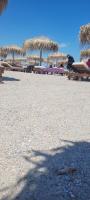 Andrei MAMAIA 2021 - Bed and Breakfast Mamaia