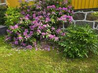 RUSTIC MAID´S ROOM - B&B Lövestad