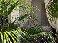 Casa Mar - B&B - - Chambres d'hôtes Terracina