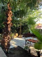 Villa Aleksandar - Bed and Breakfast Sutomore