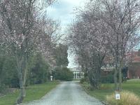 Cottage Lifestyle - B&B Fernside