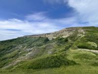 Cosy Warren - with Ocean View - plus Savings on Ferry Travel - B&B Ventnor