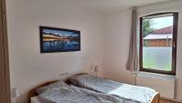 Zander - B&B Kiel