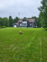 Treeline Cottage - B&B Rovaniemi