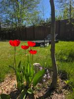 W Olchach - lokal Klon - B&B Wiktorowo