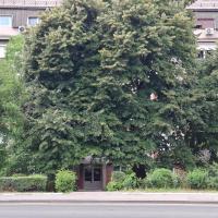 Apartman Pod Lipom - Chambres d'hôtes Belgrade