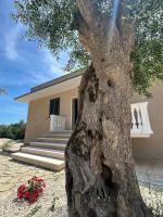 B&B Clav's Home - bebclavshome - B&B Pozzilli