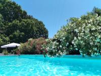 Trulli con piscina privata - Bed and Breakfast Locorotondo
