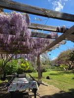 Maison de charme au coeur du Sud Ouest - Bed and Breakfast Laplume