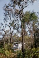 ROSINA Beach Shack - B&B Bellbrae