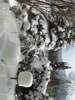 Appartamento con 1 Camera da Letto (2-3 Adulti)