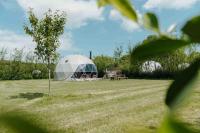 Beavers Retreat - Glamping with Hot Tubs options - Ferienwohnung Tenby
