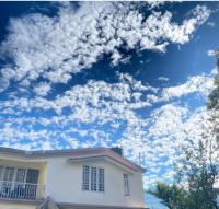 Lotus Villa Homestay - B&B Gangtok