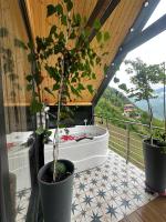 შალე მაჭახელა chalet machakhela - Chambres d'hôtes Zeda Chkhut’uneti